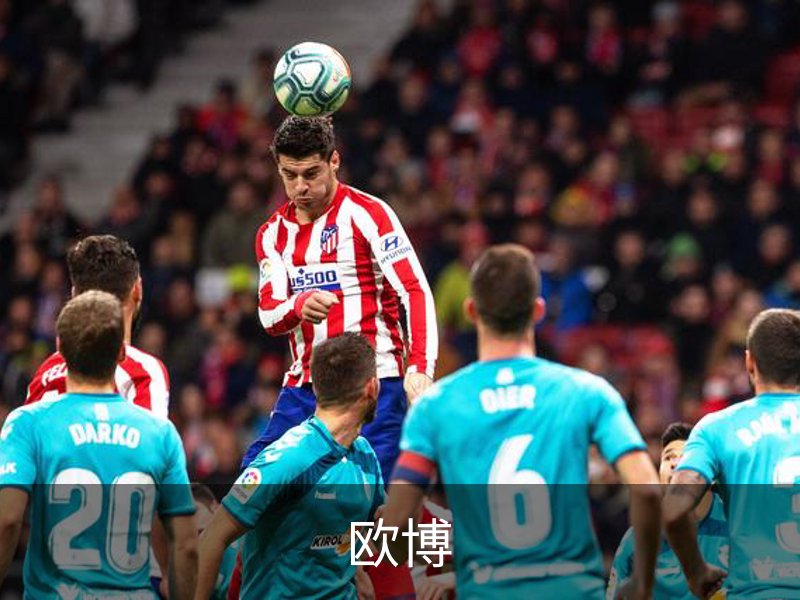 了解欧博